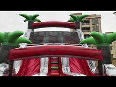 PVC Tarpaulin Puncture Proof Inflatable Water Slides With Pool