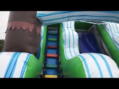 Silk Screen Printing Tropical Palm Inflatable Water Slide With Pool