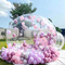 Luxurious Outdoor Camping Inflatable Giant Bubble Tent Inflatable Dome Tent