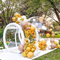 Outdoor Party 3.0m 4.0m Diameter Blow Up Inflatable Bubble House Tent Transparent Balloon House Dome Tent